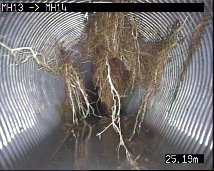 CCTV still showing a dense curtain of tree roots entering a drainage pipe through the crown of the bore
